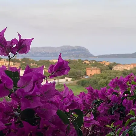 Casa Roberta - Villetta Vista Mare & Airco * 奧爾比亞