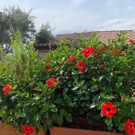Σπίτι διακοπών Casa Roberta - Villetta Vista Mare & Airco