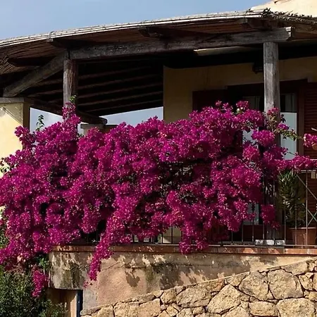 Casa Roberta - Villetta Vista Mare & Airco Σπίτι διακοπών Όλμπια