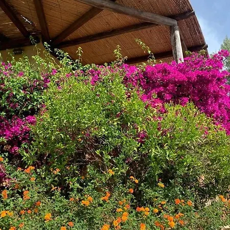 Σπίτι διακοπών Casa Roberta - Villetta Vista Mare & Airco Όλμπια