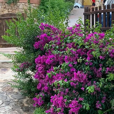 Casa Roberta - Villetta Vista Mare & Airco Όλμπια